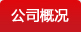 公司概况
