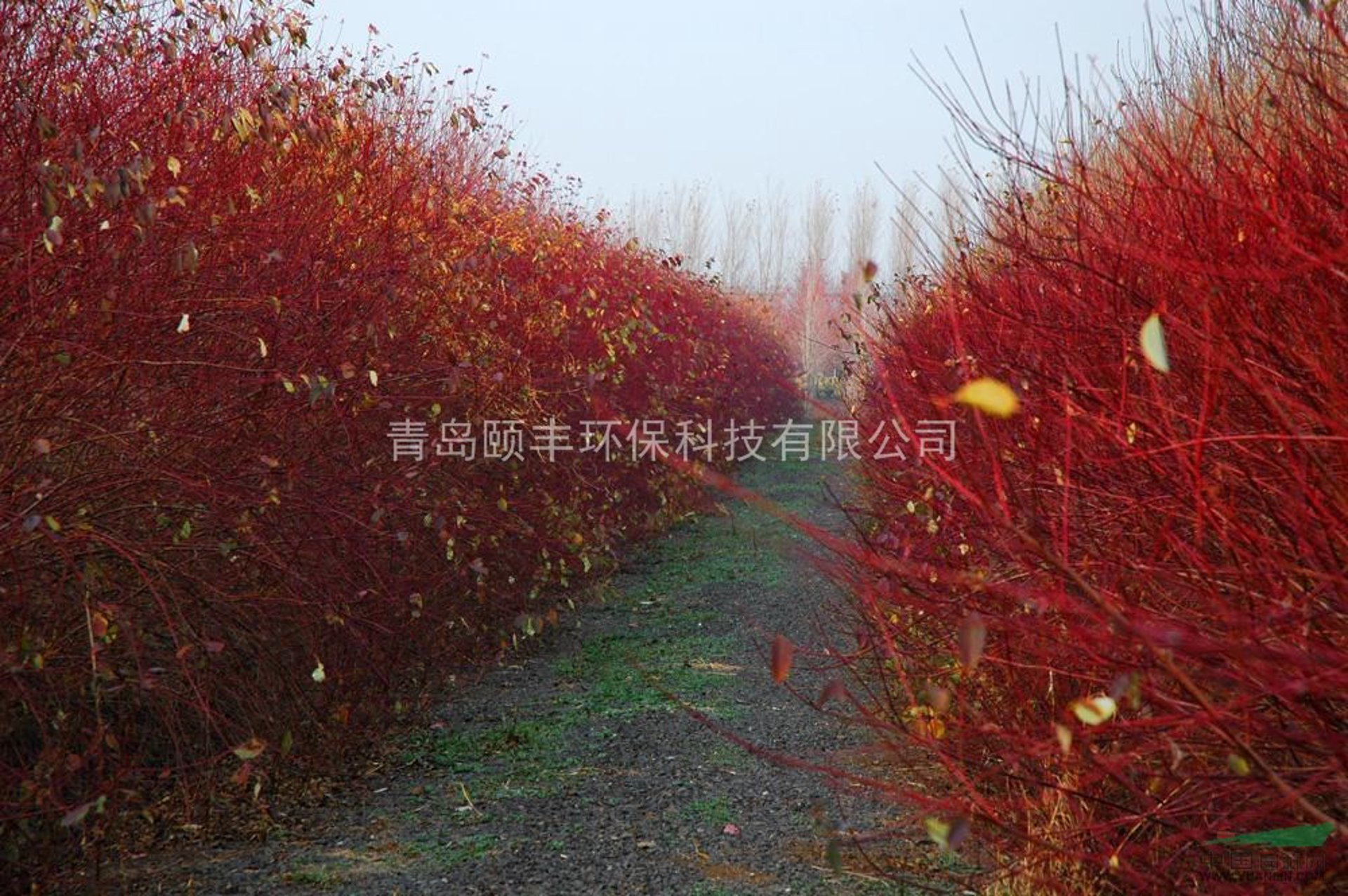 颐丰环保科技